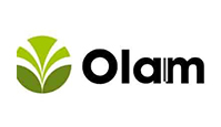 olam.webp